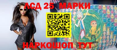 индика Гусь-Хрустальный