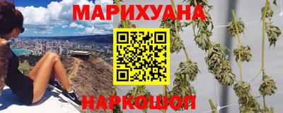 индика Гусь-Хрустальный
