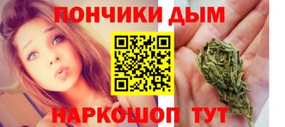 индика Гусь-Хрустальный