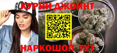 индика Гусь-Хрустальный