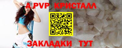 индика Гусь-Хрустальный