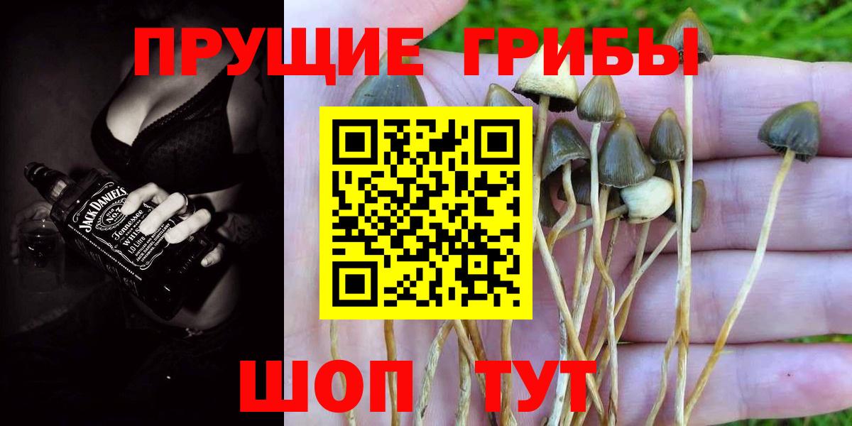 Псилоцибиновые грибы прущие грибы Мирный